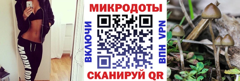Галлюциногенные грибы мицелий  Купить  Щёлково 